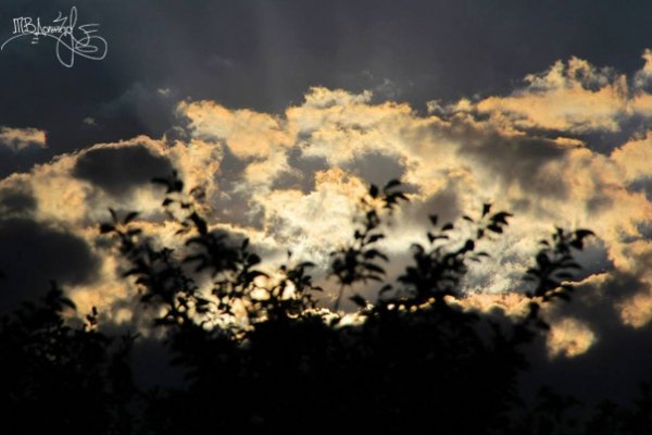 Фотовиставка Тетяни Должко